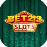 BET 213 SLOTS